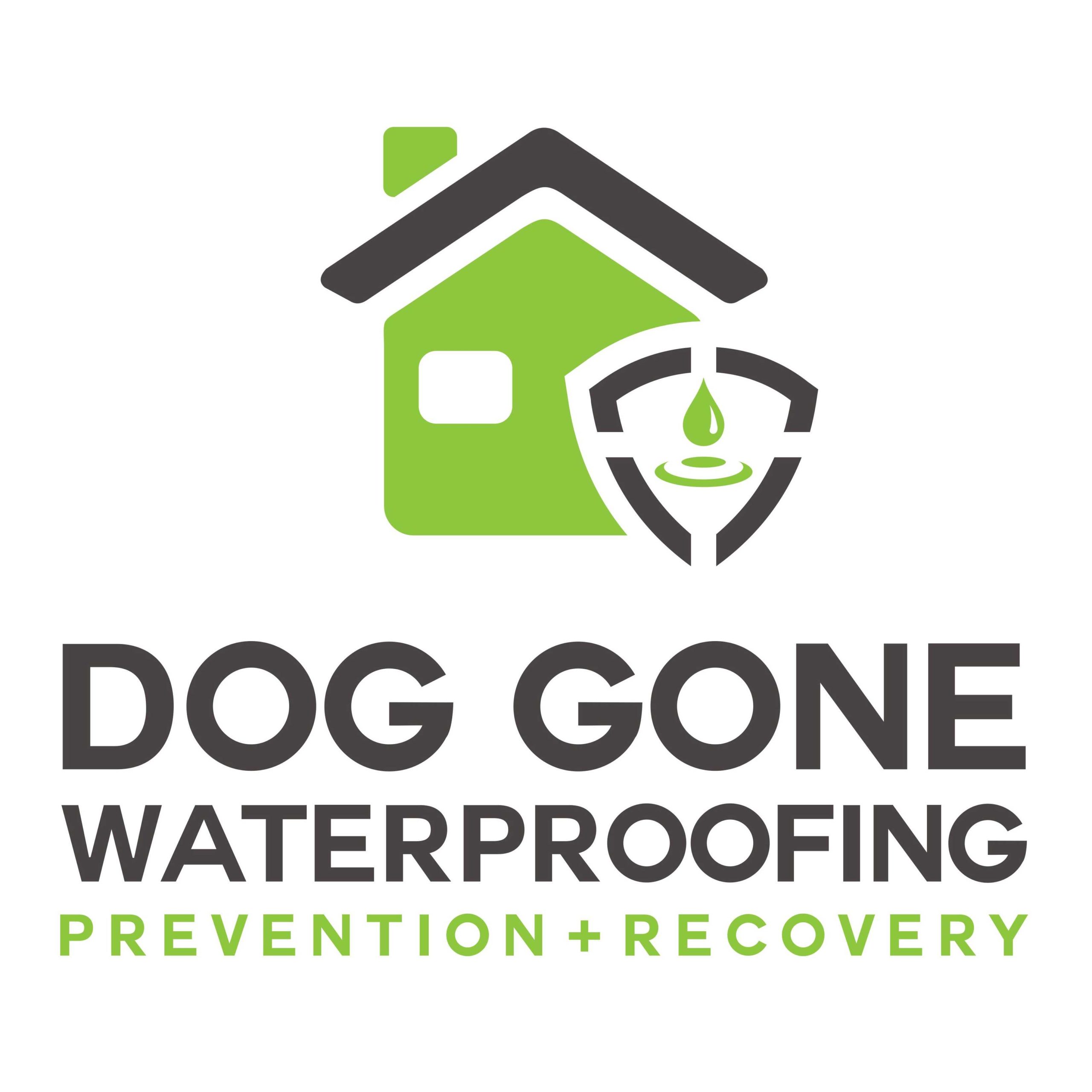 Calibrate Digital Marketing Springfield Missouri Client - Dog Gone Waterproofing