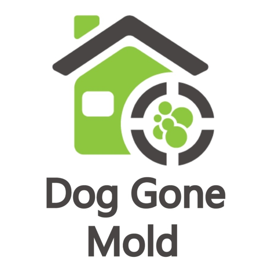 Dog Gone Mold - Calibrate Digital Marketing Client - Advertising Agency Springfield Missouri